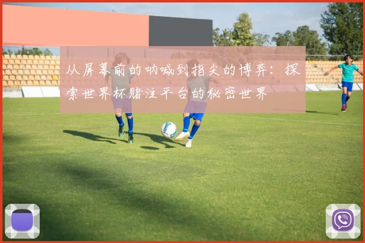 从屏幕前的呐喊到指尖的博弈：探索世界杯赌注平台的秘密世界