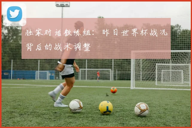 独家对话教练组:昨日世界杯战况背后的战术调整