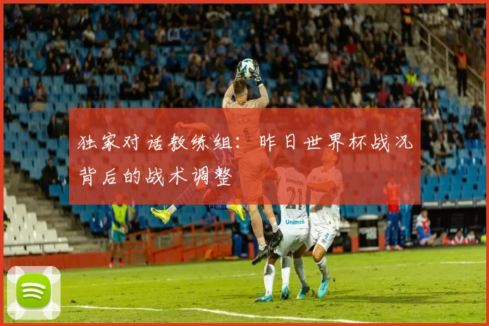 独家对话教练组：昨日世界杯战况背后的战术调整