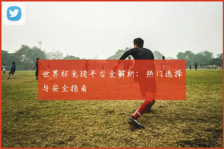 世界杯竞猜平台全解析:热门选择与安全指南